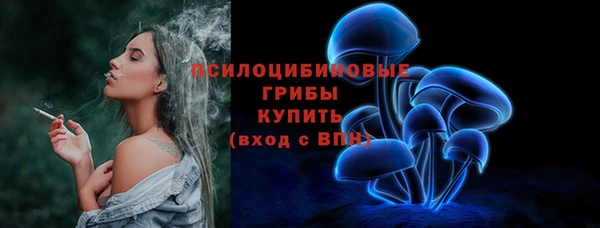 ГАЛЛЮЦИНОГЕННЫЕ ГРИБЫ Баксан