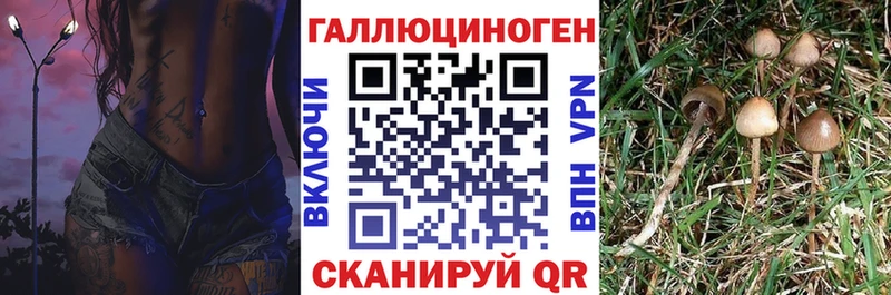 Галлюциногенные грибы GOLDEN TEACHER  Купить  Лермонтов 